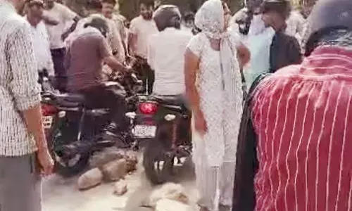 pataudi news-पानी संकट के खिलाफ महिलाओं ने खोला मोर्चा- रोड जाम