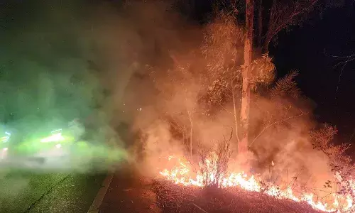 बाबैन न्यूज -सडक़ों के किनारे खड़े पेड़ हो रहे है आग का शिकार