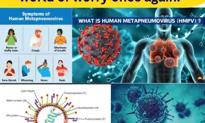 ह्यूमन मेटान्यूमोवायरस:(HMPV) फिर से चिंता में डूबी दुनिया। ह्यूमन मेटान्यूमोवायरस:(HMPV) फिर से चिंता में डूबी दुनिया।