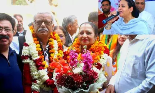 संविधान की आत्मा के साथ खिलवाड़ - पर्ल चौधरी संविधान की आत्मा के साथ खिलवाड़ - पर्ल चौधरी