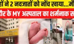 चूहे खा गए दो जिन्दा नवजात बच्चों को ,बीजेपी है तो मुमकिन है
