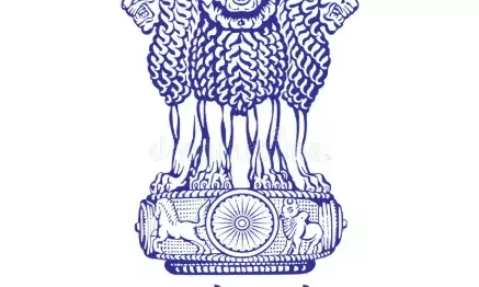 भारत की रीढ़ की हड्डी गुम भारत की रीढ़ की हड्डी गुम