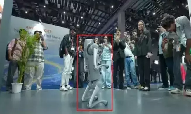 गलगोटिया प्रकरण: भारत की भद्द पिटने का जिम्मेदार कौन?